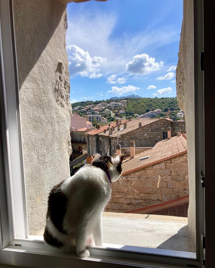 Apartmán T3 Avec Vue Sur La Mer Notre Chez-Nous Propriano  Exteriér fotografie